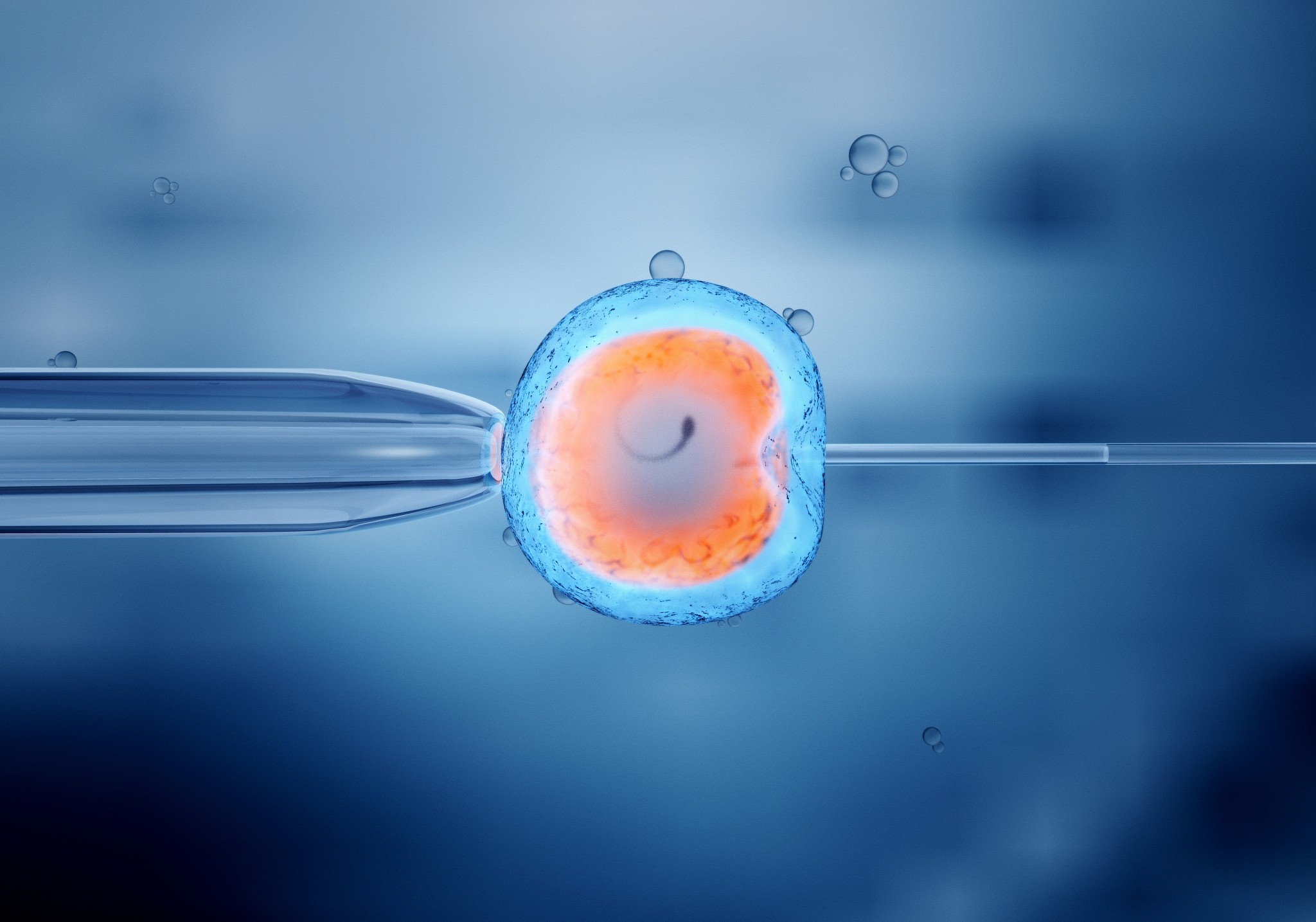 Egg Donation , Lotus Surrogacy Egg Donation , Lotus Surrogacy